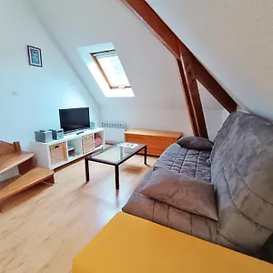 Appartement Chez Charlotte, T3 Duplex, Vue Montagne, Parking Gratuit, Ascenseur, 4 Personnes, Bagnères-de-Luchon